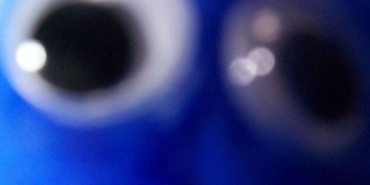 Official Website in Australia 2025