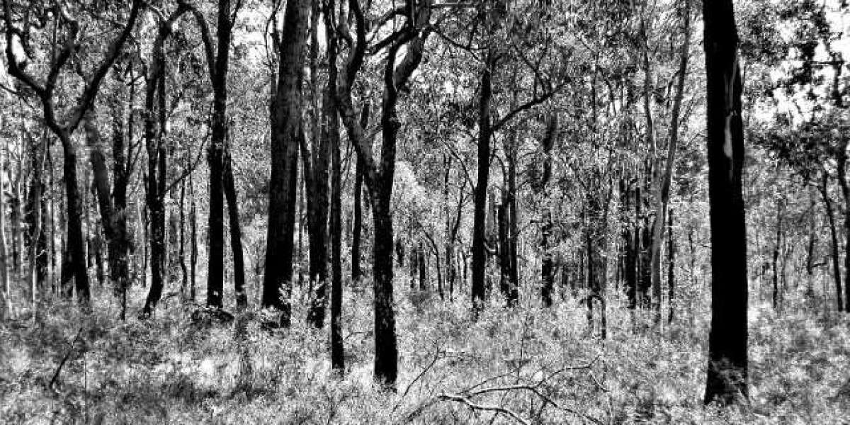 The Ultimate Guide to The Online Casino World