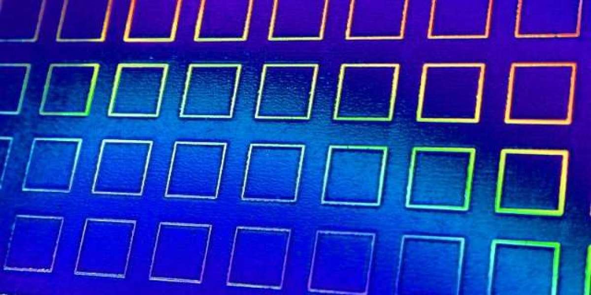 WS CASINO Wilson's Stuff