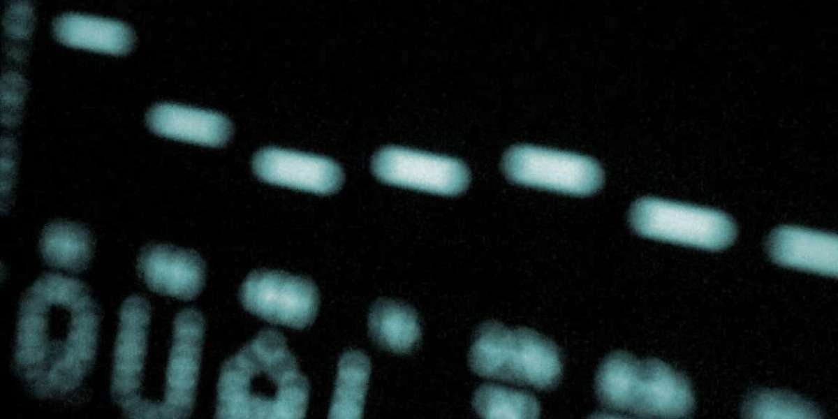 Best Online Casino & Gambling Sites in the US