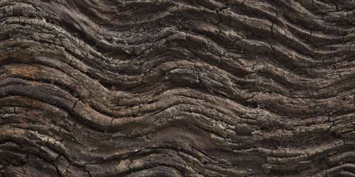 Winspirit Casino Real Money Try Your Luck Today