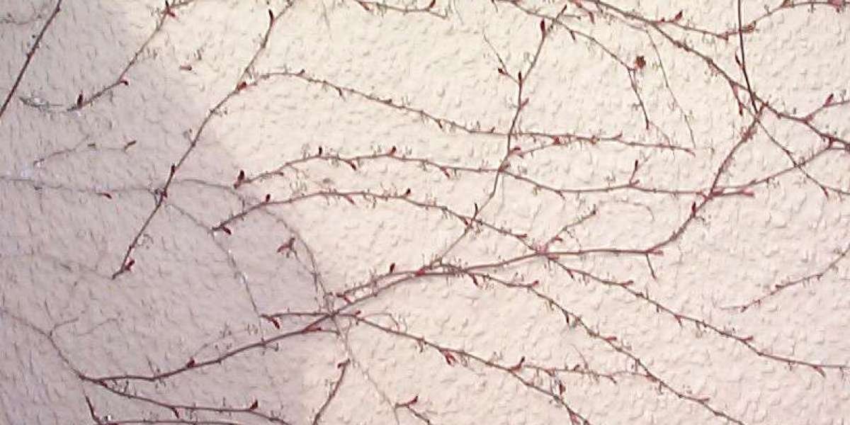 Crown Casino Perth-Everything You Need To Know