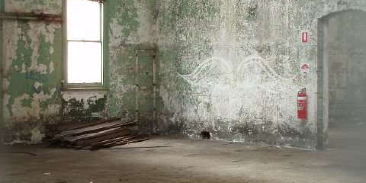 Skycrown App Mobile Casino for Android & iOS Players