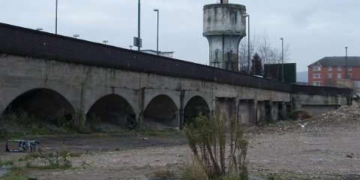 Meet Our Exclusive Bonuses & Loyalty Programs