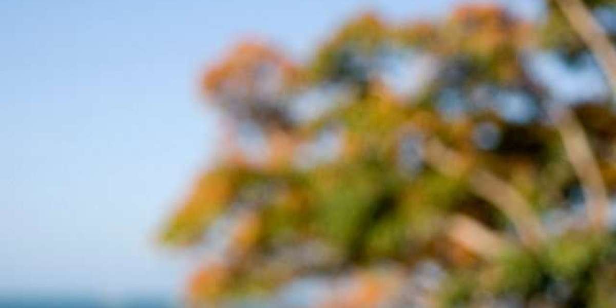 Ensuring Brisbane casino doesn't become an 'eyesore' should be a priority amid Star's financial woes