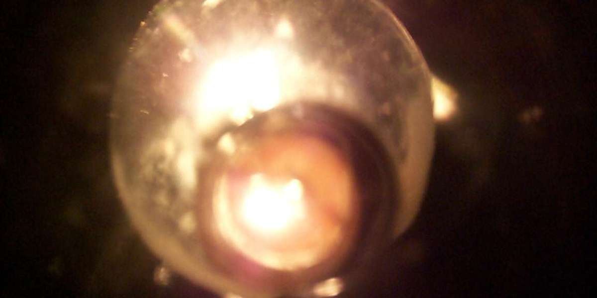 King Billy Casino Free Bonus Codes No Deposit Required